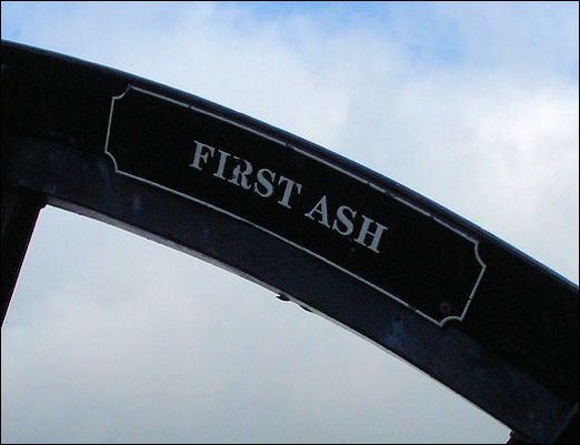First Ash coal seam 