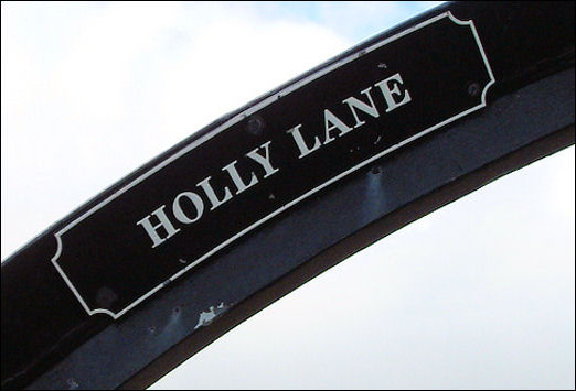 Holly Lane coal seam 