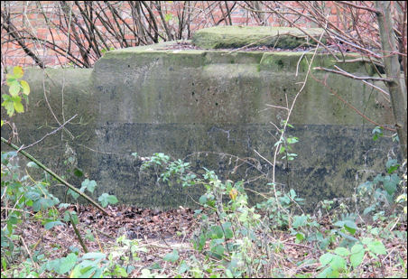 the remains of the wall which surrounded the gas holder