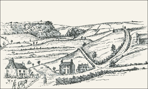 Bradwell Wood, from Well Street (Tunstall) - about 1760
