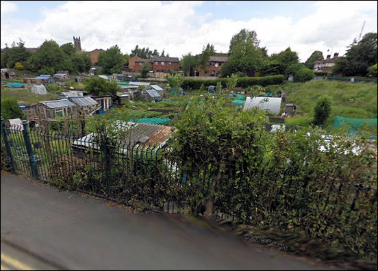 the allotments in Wellesley Street 