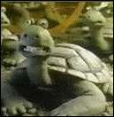 must be the turtle.