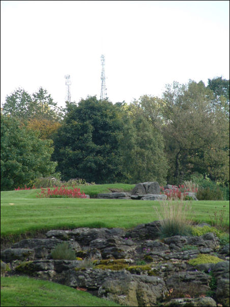 another area of rockery using the old colliery spoil