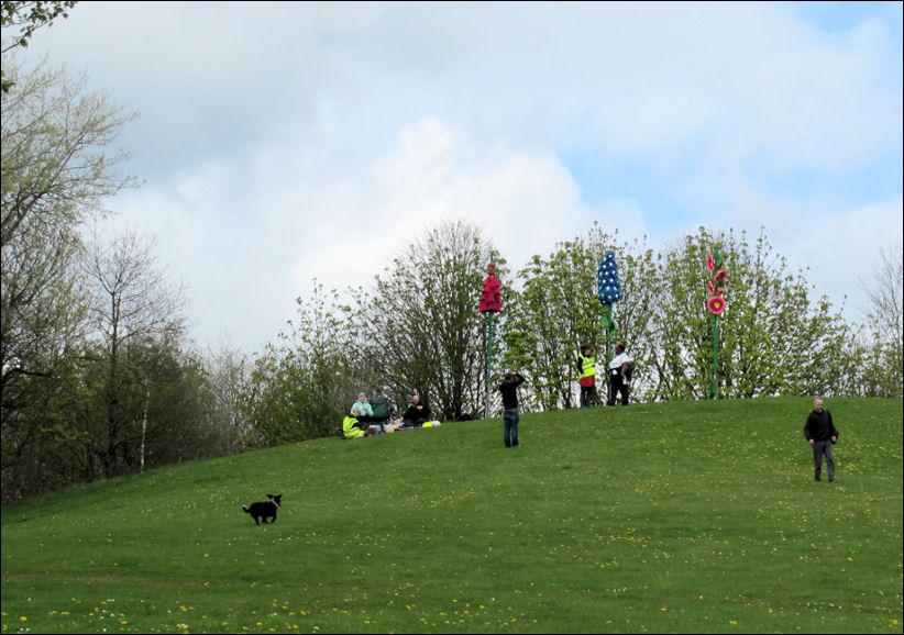 Giant knit and Crochet Flowers on the hill above the retail park
