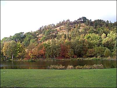 View of the 'Central Forest Park' from Chell Street