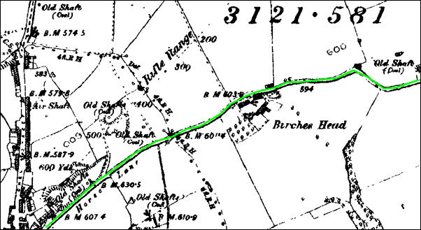 1890 map of Birches Head