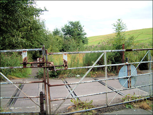 the remains of the railway track (2008) as it crosses Birches Head Road 