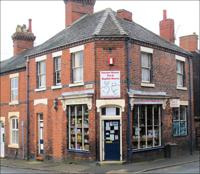 Forster Street Pet Stores