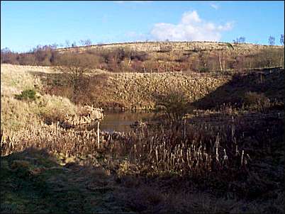 Natural ponds by the junction of the Burslem and the Trent and Mersey canal