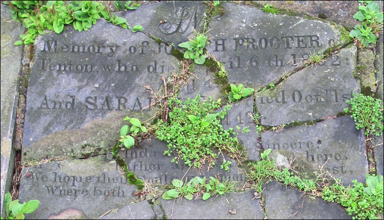 Joseph and Sarah Proctor of Fenton