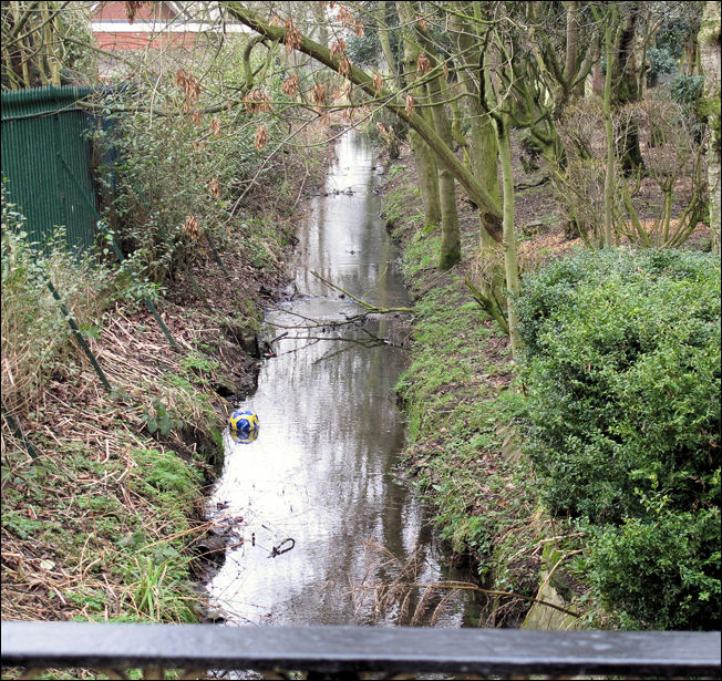 Causeley Brook starts on Wetley Moor and joins the River Trent at Ivy House