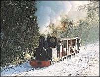 train at Rudyard Lake