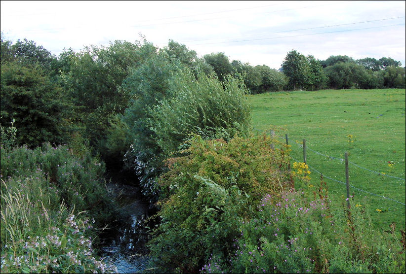 River Trent from the bridge near Abbey Farm 