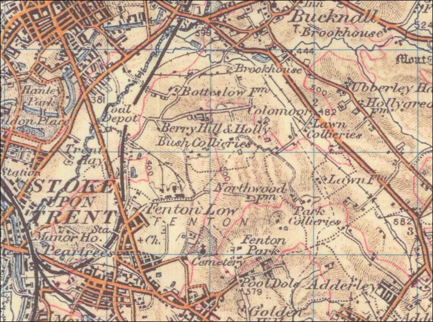 1902 Ordnance Survey map - showing Botteslow, Brookhouse, Berry Hill, Holly Bush and Lawn