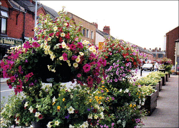 Hilda Sheldon's Biddulph in Bloom