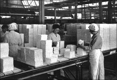 Inspecting biscuit tiles