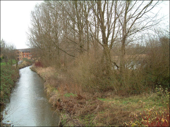 the River Trent, running past Manorfield Pool