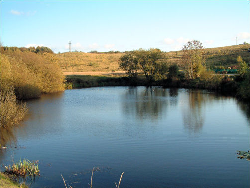 The pool replacing the reservoir alongside the new housing estate
