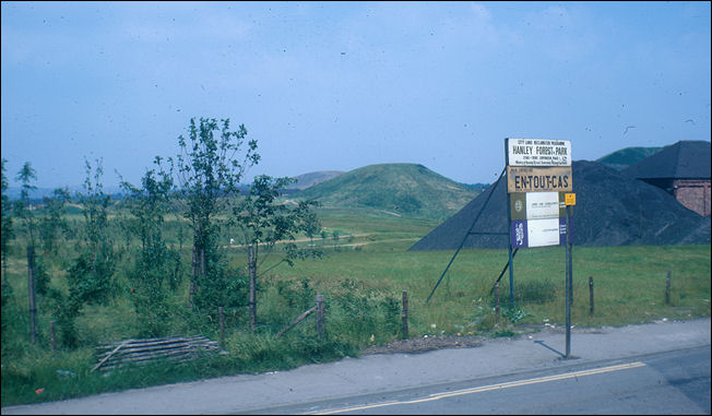 The beginnings of Hanley Forest Park