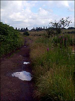 to the left old pathway leading to Berry Hill