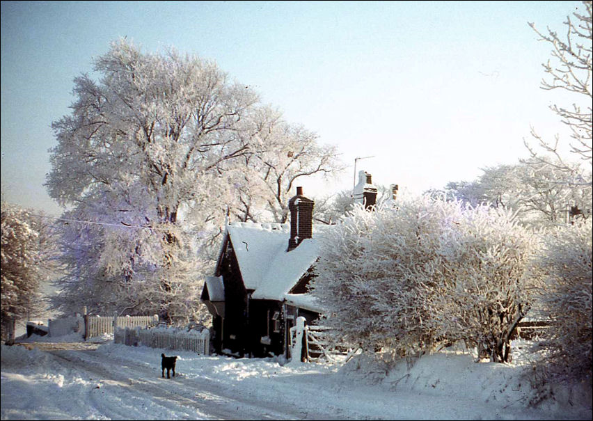 Railway crossing and crossing mans' cottage on Birches Head Road 