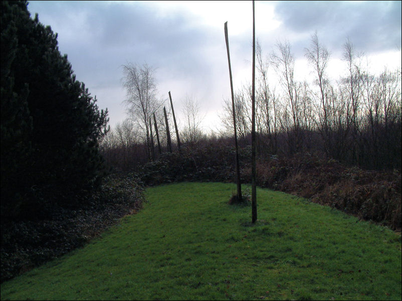 Sky Wedges - The Woodland Ridge, Festival site - Andrew Darke