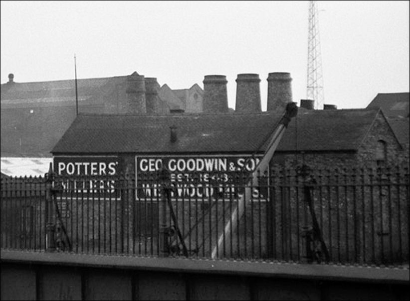 behind the Westwood Mill of George Goodwin can be seen the bottle kilns of the Trent Pottery, established in 1867 by Livesley & Davis