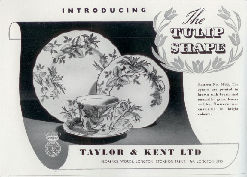 Taylor & Kent Ltd, Florence Works, Longton, Stoke-on-Trent
