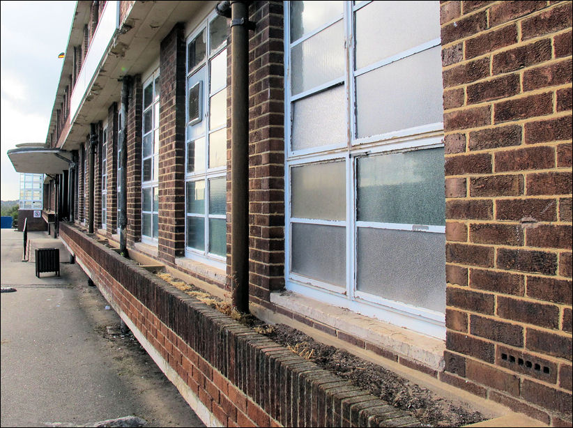 at the bottom of the windows are planters picked out with bricks laid verticaly