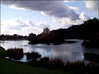 Lake on Central Forest Park