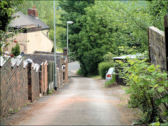 part way down Fowlea Bank, Bank Terrace at the bottom