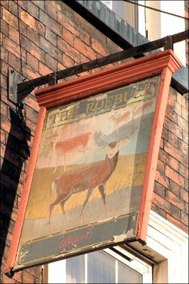 the Roebuck