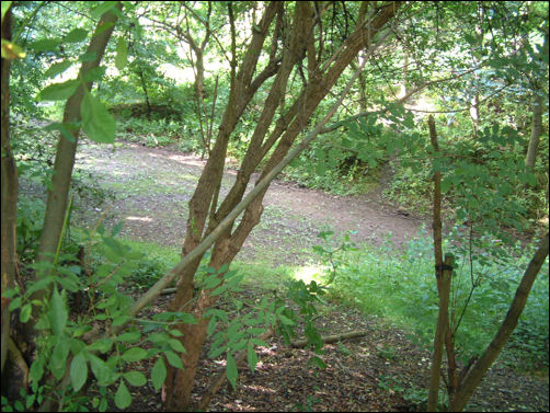 the location of the bed of the canal from Station Walks 